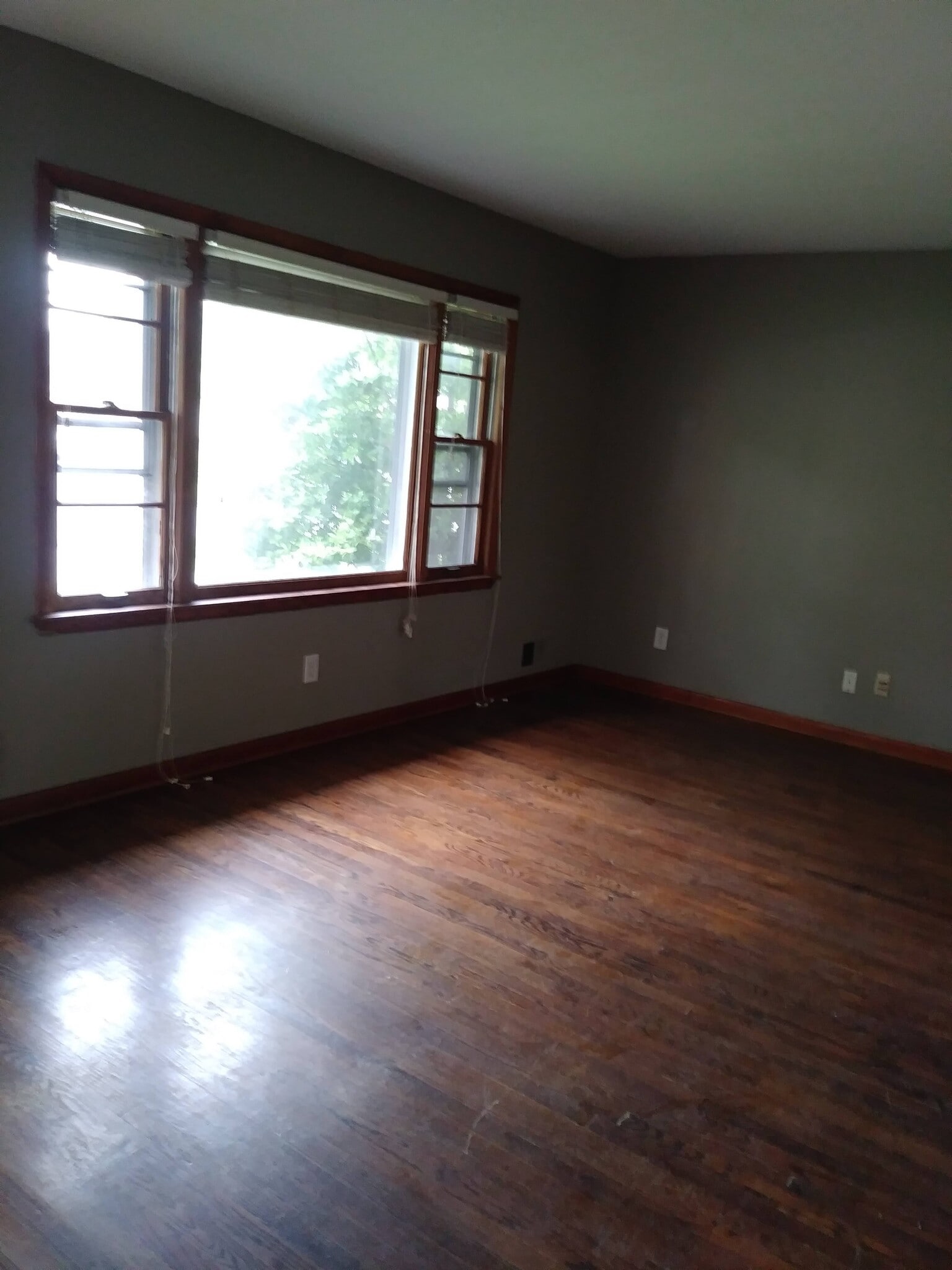 Living room - 4113 Wooded Way