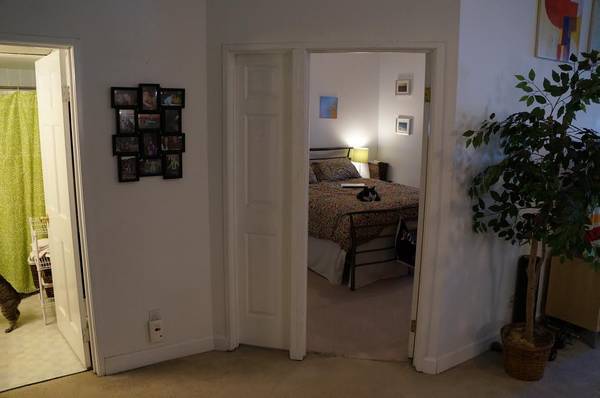 Building Photo - 48 Forest St