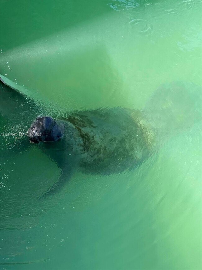 Building Photo - 124 Indies Dr S