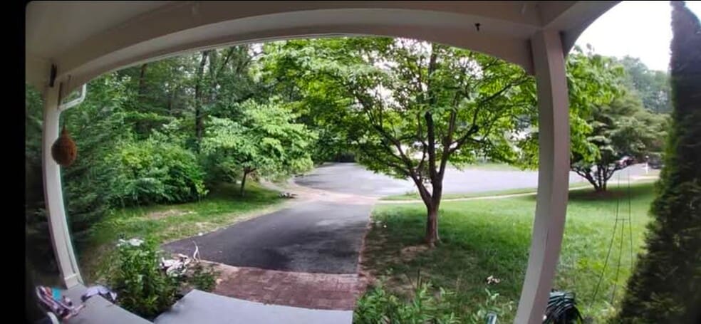 Building Photo - 8499 Rainbow Bridge Ln