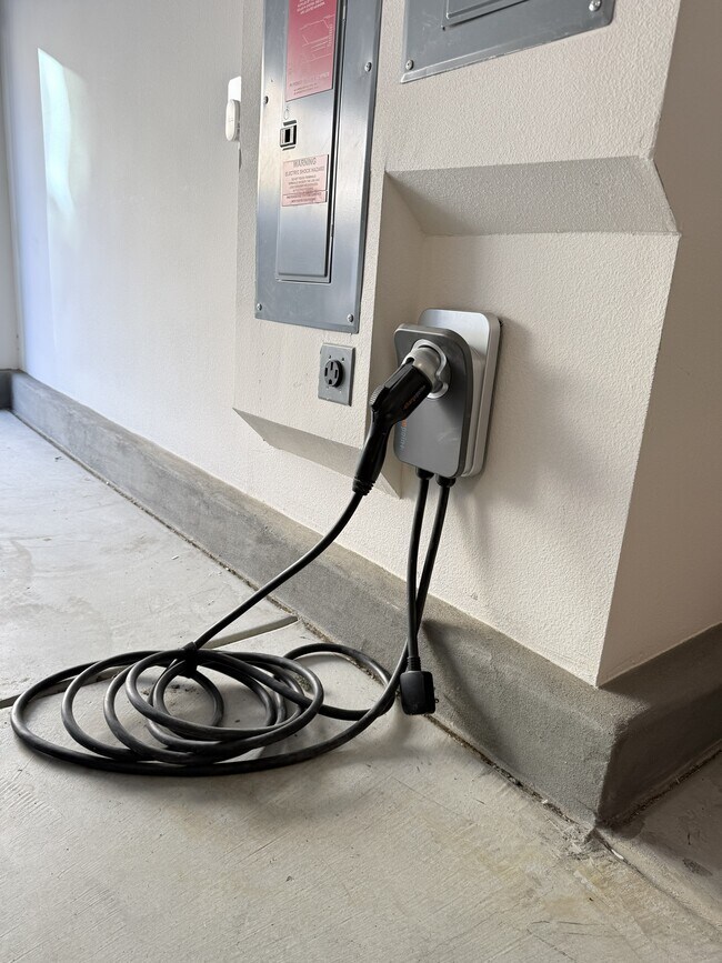 Building Photo - 36351 Elizabeth Ln