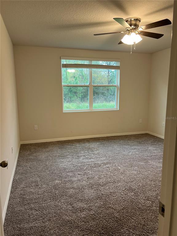 Building Photo - 17245 Cagan Crossings Blvd