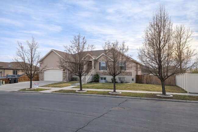 Building Photo - 1287 Reese Dr