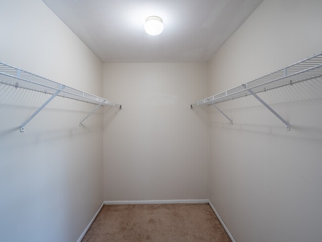 Building Photo - 1040 Sanctuary Ln