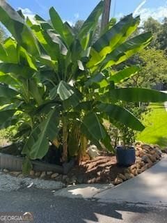 Building Photo - 118 Tarpon Trail SE