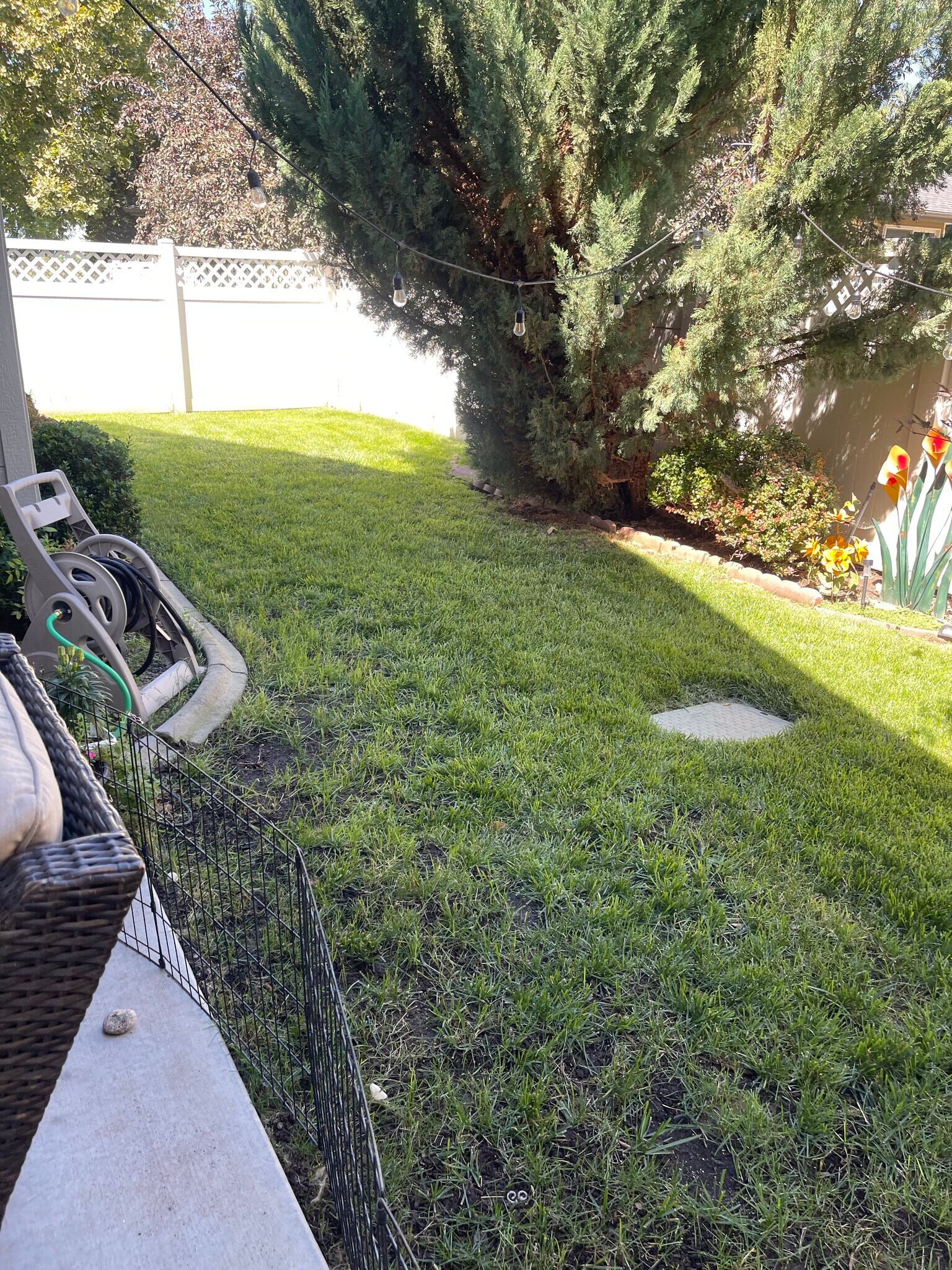 Building Photo - 2892 W Turin Ct