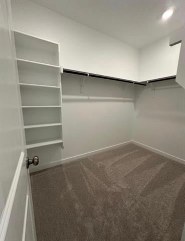 Building Photo - 1316 Rockwell Dr
