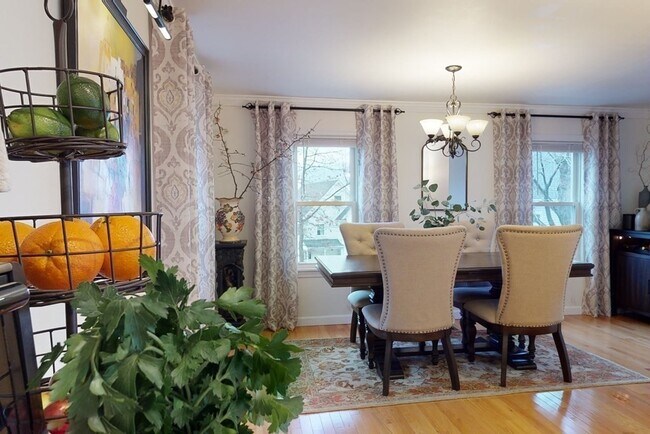 Building Photo - 37 Marivista Ave