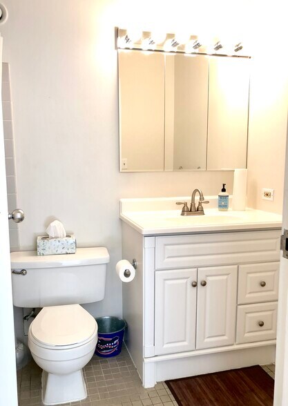 Bathroom - 1122 N Clark St