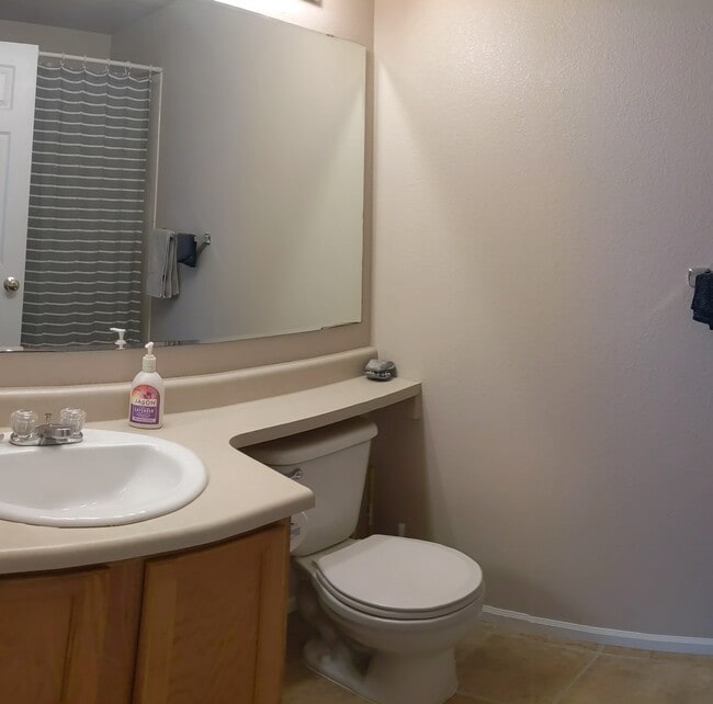 Master bath - 4508 Springer Ct