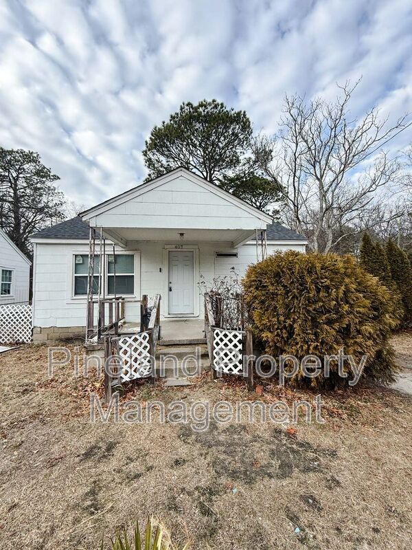 Building Photo - 407 Andy St