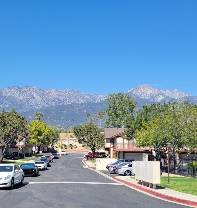 Primary Photo - Rancho Meadows