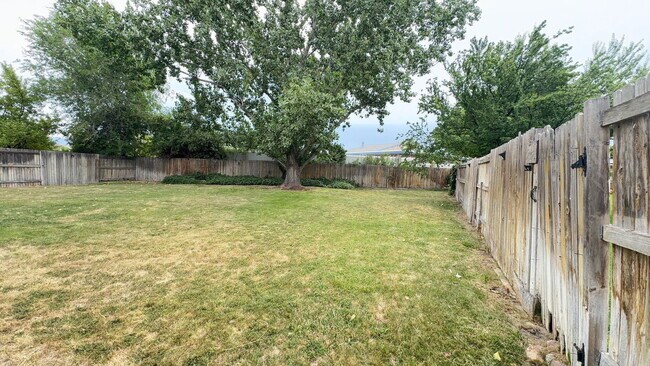 Building Photo - 3025 El Cajon Dr