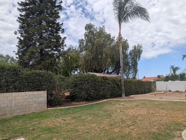 Building Photo - Beautiful 3-Bedroom Home with Pool!