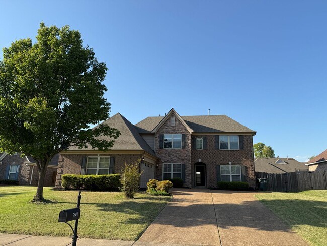 Primary Photo - BEAUTIFUL SPACIOUS HOME IN BARTLETT