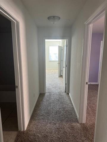 Building Photo - 2217 Mulberry Dr