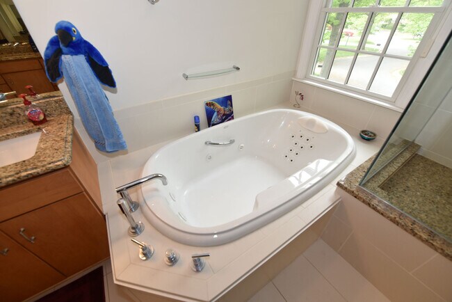Building Photo - Luxurious Spacious and Bright , Gorgeous P...