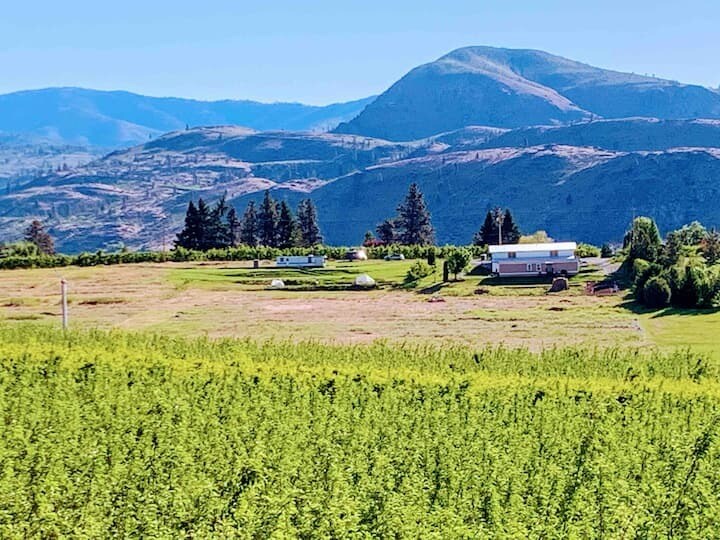 Building Photo - 2365 Washington St