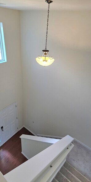 Building Photo - 401 Bear Tree Ct