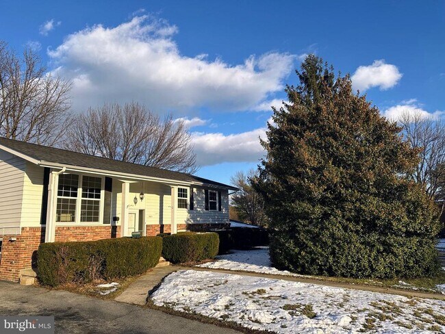 Building Photo - 1411 W 12th St