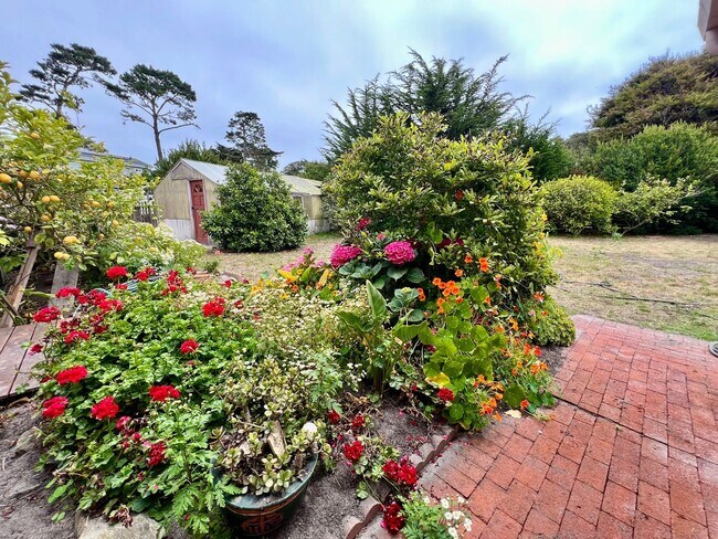 Building Photo - Large 4 bedroom 3 bathroom home in Pacific...