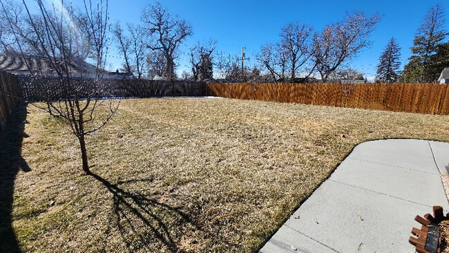 Building Photo - 1007 W 29th St