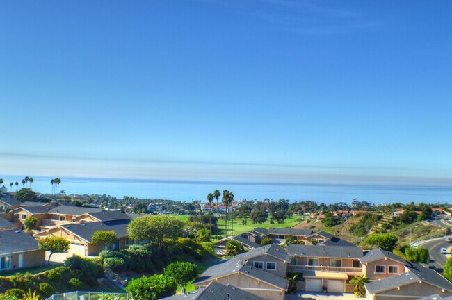 Building Photo - Panoramic ocean view from this 2 bedroom condo up on the hills of San Clemente