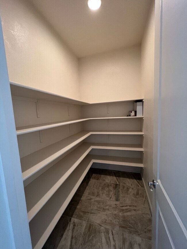 Building Photo - 3140 Show Jumper Ln
