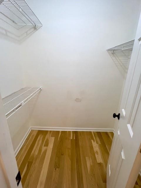 Building Photo - 3110 Skyridge Ct