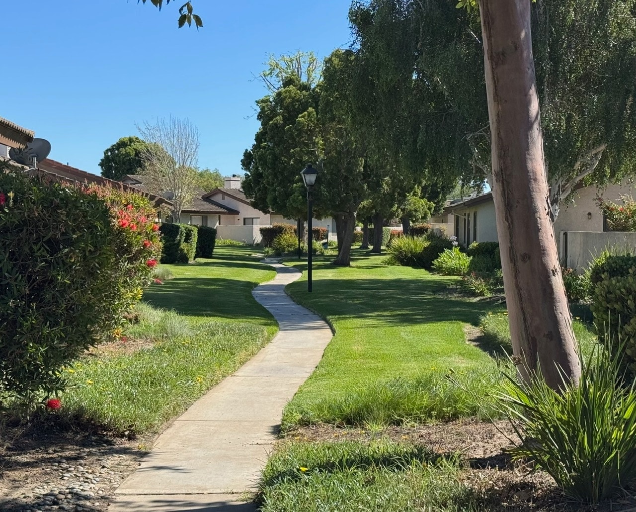 Building Photo - 1212 Jamie Loop