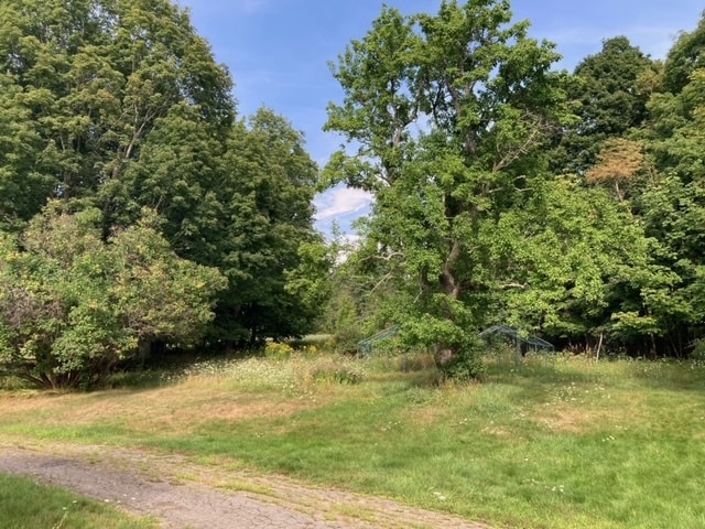 Garden 1 - 176 Bagley Hill Rd