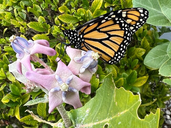 Building Photo - 430 High Point Dr