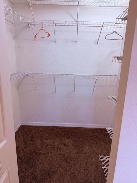 Building Photo - 779 Pipers Cay Dr