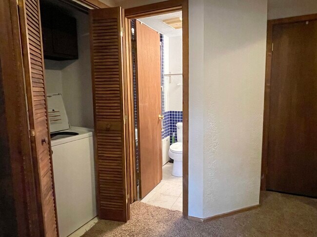 Lower level laundry - 501 Teller St