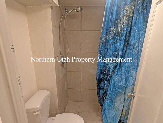 Building Photo - Lower Level Studio Unit