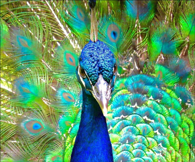 Building Photo - 408 Harrison Ave