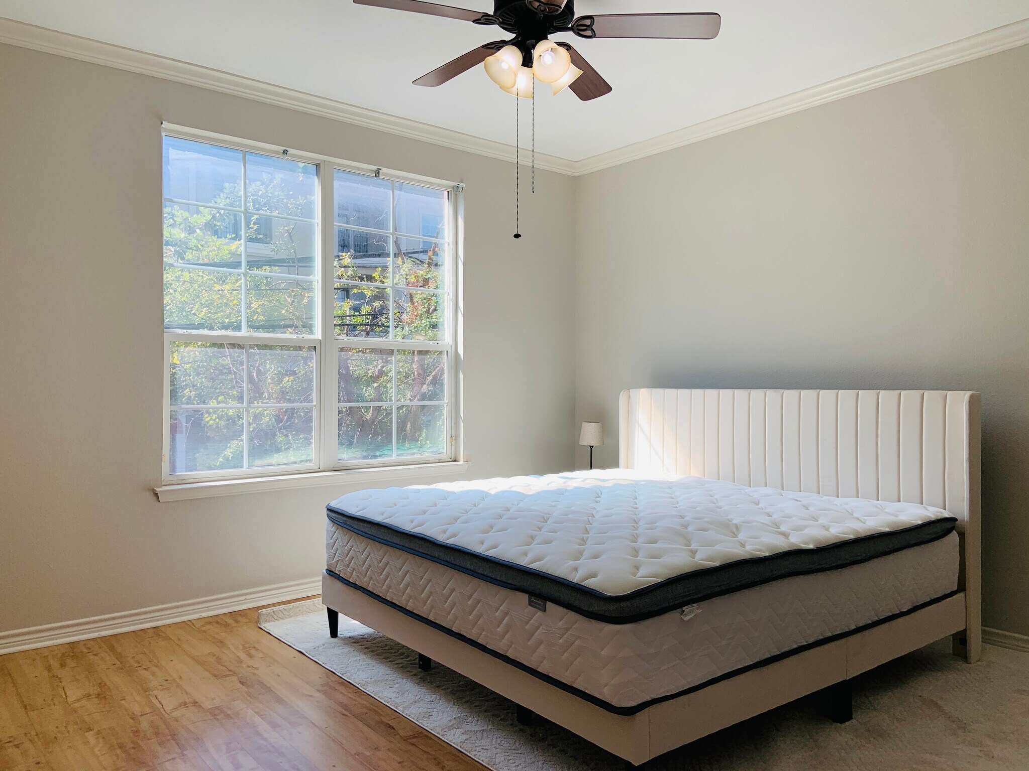 Building Photo - 1020 Texas St