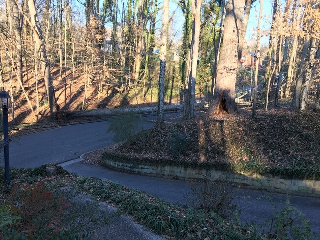 Building Photo - 217 Morehead St