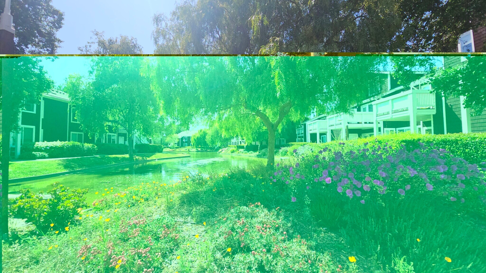 Building Photo - 242 Marina Lakes Dr