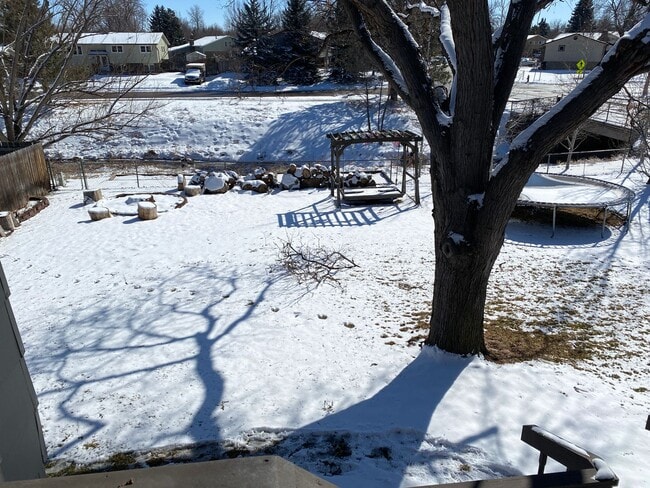 Building Photo - Great corner lot home backing up to open s...
