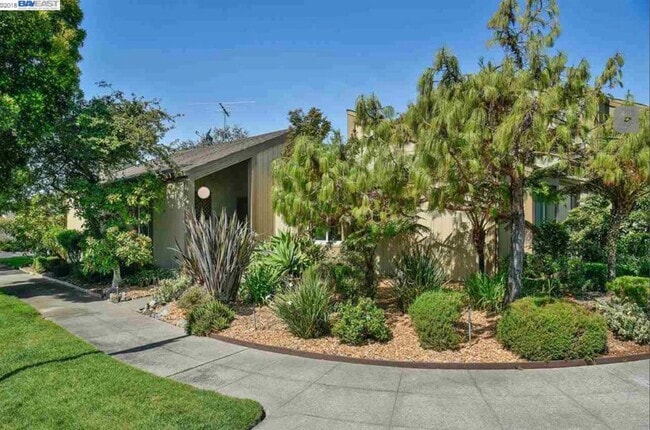 Building Photo - 3350 Fir Ave