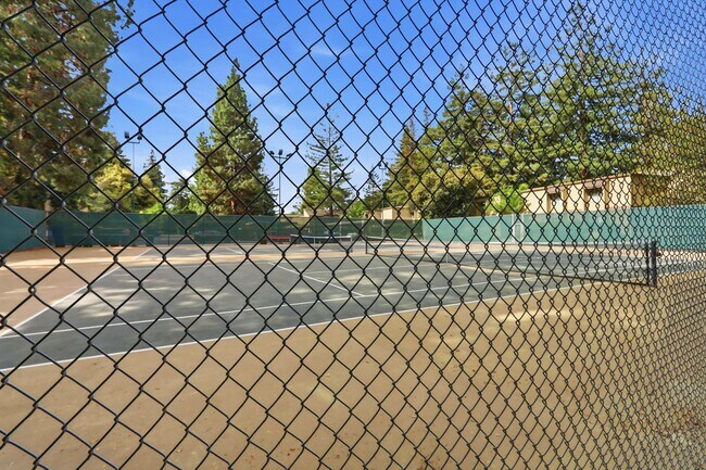 Building Photo - Move-In Ready 2 Bedroom/1 Bathroom Condo in The Heart of Mountain View!
