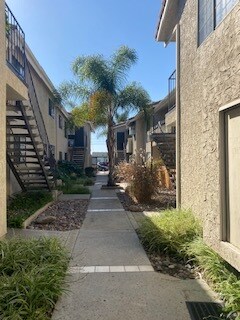 Courtyard - 4869 70th St