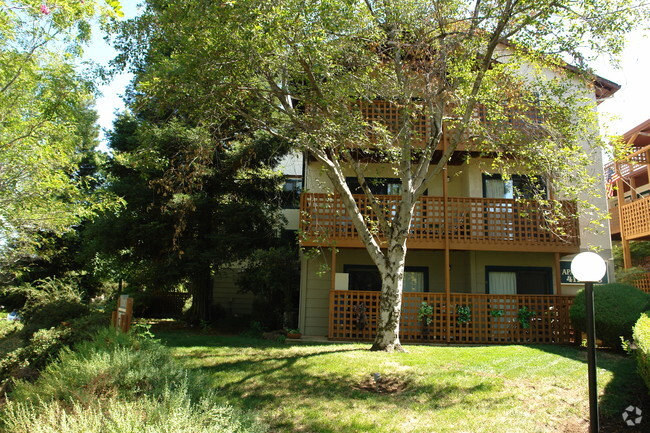 Building Photo - Sierra Sunrise Apartments