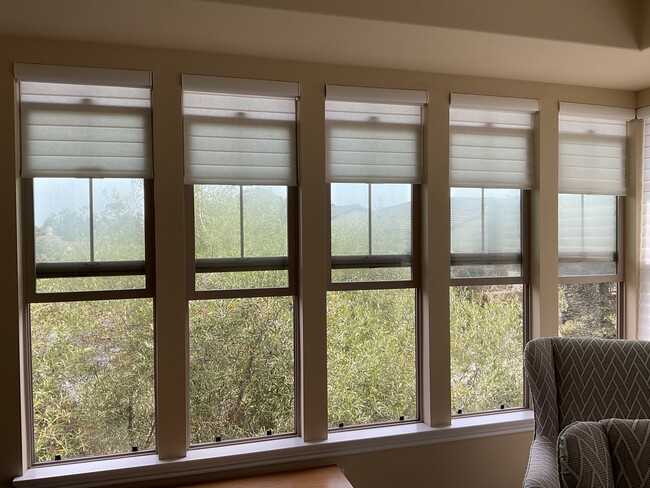 Hunter Douglas Silhouette shades will let enough daylight in. - 150 Sanderling Ln