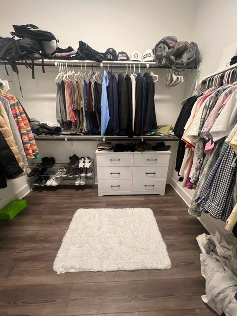 Building Photo - 8628 Wellspring Loop