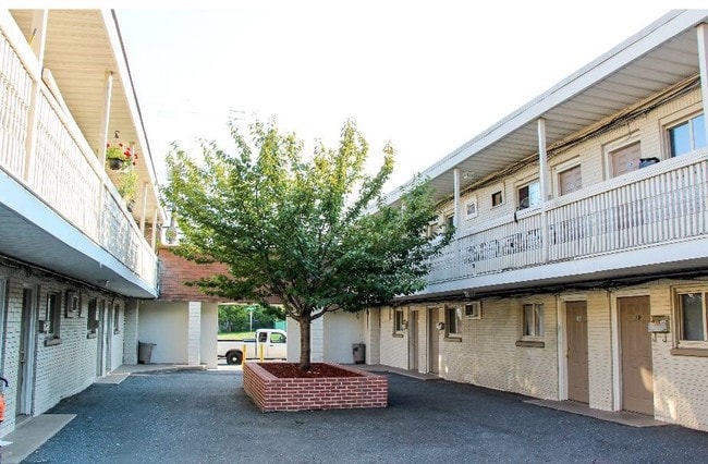 Primary Photo - 1215-1217 Springwood Ave