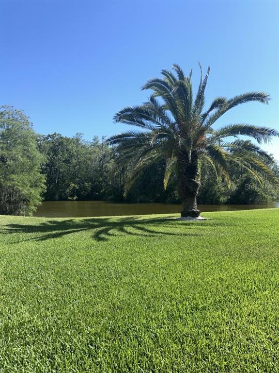 Building Photo - 261 Cypress Ln