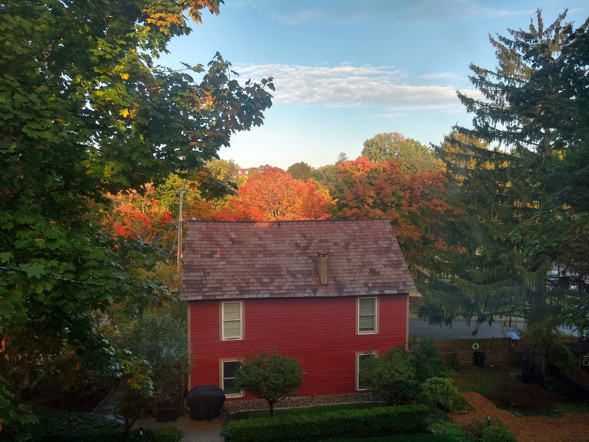 View of carriage house from the back - right near the Saratoga bike trail connecting to Spring Run! - 156 Henry St