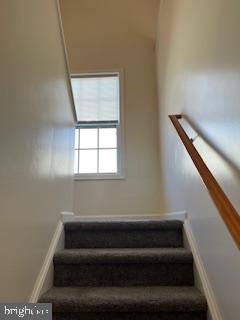 Building Photo - 103 Mango Street